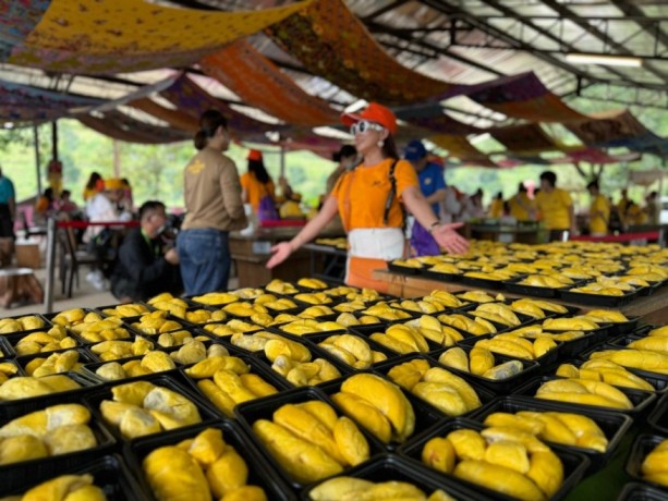 The Bentong Farm Durian Fantastic